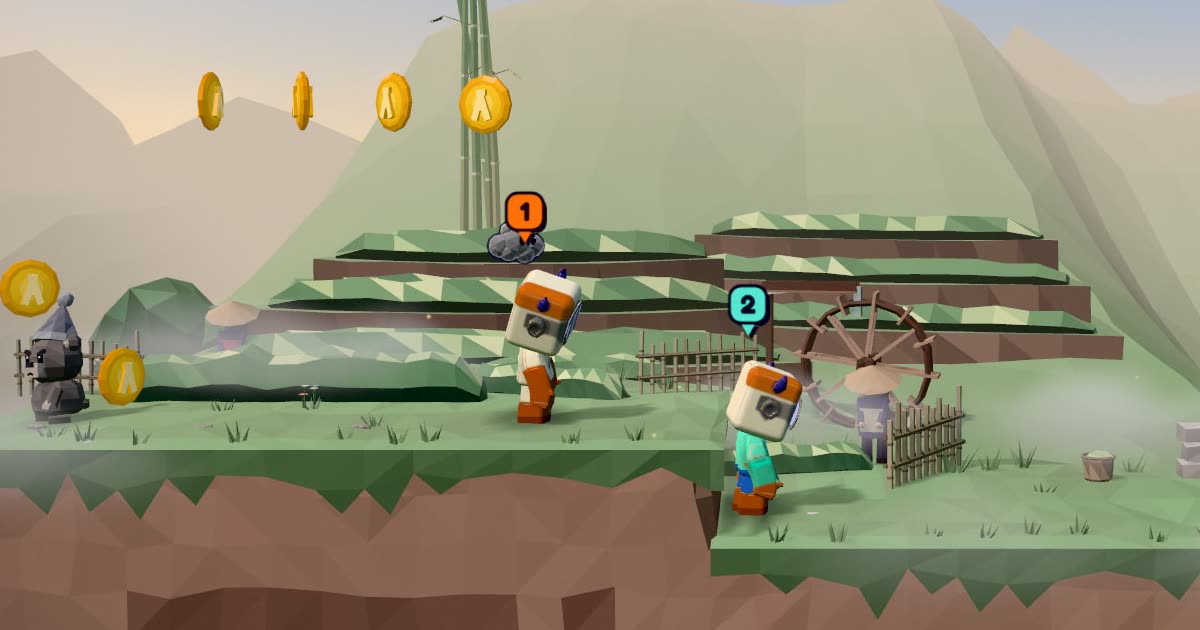 Two Anius, tagged 1 and 2, on the tea terraces of the first level